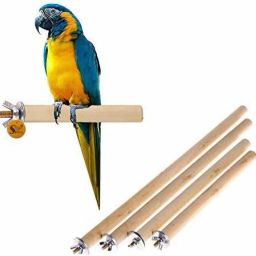 Set of 4 Natural Habitat Wooden Perch/Stand/Toy for Birds(Sizes-4,6,8,10)(Combo) Wooden Perch, Training Aid, Stick For Bird-image-51