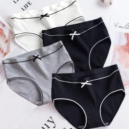 Pack of 3 Women Hipster Beige, Orange, Maroon Panty-picture-27