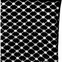 Chiffon Embroidered White, Black Women Dupatta-1