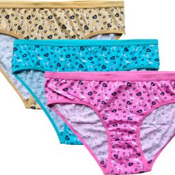 Pack of 3 Women Hipster Brown, Blue, Pink Panty-image-13