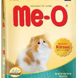 Persian kitten 1.1kg dry food by Aquatica Fishes 1.1 kg Dry Young Cat Food-image-72
