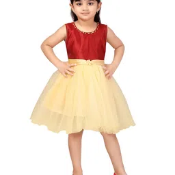 BAESD Net Fit & Flare Dress-37