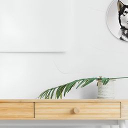 THE QUIRKY HOME White Alaskan Malamute Or Siberian Husky Ceramic Decorative Wall Decor-image-95