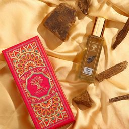 ATARSTORY Timber Oudh Long Lasting Eau De Parfum- 20 ml-image-78
