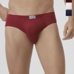 Ramraj Men Pack of 4 Solid 100% Soft Combed Fine Jersey Inner Elastic Briefs-image-14