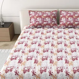 MAFATLAL Red Floral Printed Pure Cotton 186 TC King Bedsheet Set 2.74 m x 2.74 m-image-38