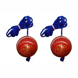 HackerX 2-Pcs Leather Sports Cricket Balls-19