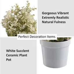 Kuber Industries White 1 Pieces Artificial Plant With Pot image 2
