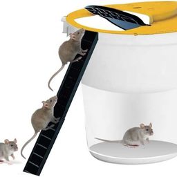 swabs swabs® Slide Bucket Lid Mouse Rat Trap with Ramp, Flip Auto Reset Multi Catch for Indoor Outdoor | Rat Trap Catcher Humane and Safe for Mice. image 1
