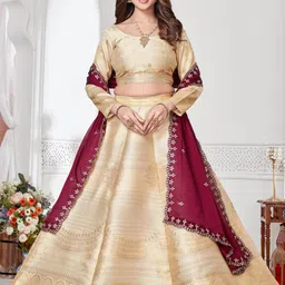 Mr Y Women Silk Lehenga Choli-picture-51