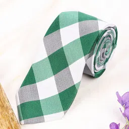 Alvaro Castagnino Men Checked Broad Tie-image-75