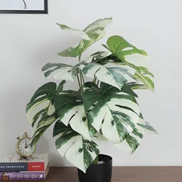 ARICK DECOR White 1 Pieces Artificial Plant With Pot-image-90