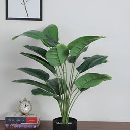 Home Bloom Green & Black Artificial Banana Plant With Pot-39