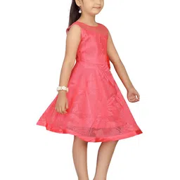 BAESD Net Fit & Flare Dress-picture-13