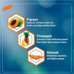 himalaya Sparkling White Toothpaste image 3