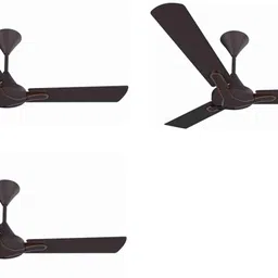 crompton Gianna Pack of 3 with 1 Year Warranty 1200 mm Ceiling Fan-picture-30
