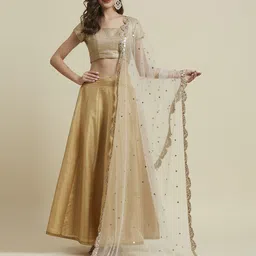 Dupatta Bazaar Floral Embroidered Sequinned Net Dupatta-8
