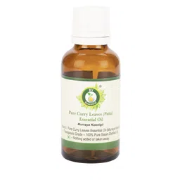 R V Essential Pure Curry Leaves Essential Oil - 50 ml-image-46