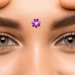 Comet Busters 14-Pcs Traditional Designer Bindi - Blue image 4