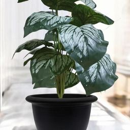 Go Hooked Green Pack of 2 Artificial Plant with Pot Decorative Indoor Outdoor image 2