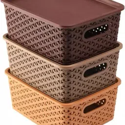 Multi Slot Egg Holder-image-57