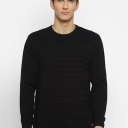 Turtle Men Striped Pullover-image-75
