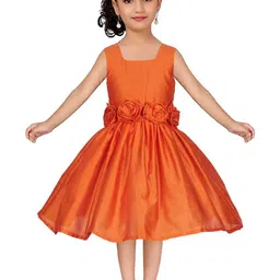 Shahina Fashion Girls Corsage Detail Fit and Flare Dresses-image-41