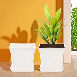 Kuber Industries 2-Pcs White Premium Flower Pots for Garden withBottomPlates-18