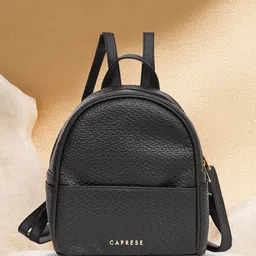 Caprese Women Brand Logo Backpack-49