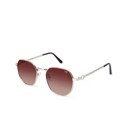Woggles Unisex UV Protected Other Sunglasses WOJJ-MHX-87628C3-66