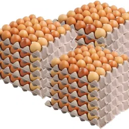 Egg holder Egg Holder-picture-4