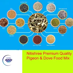 Premium Mix Seed Food of & – 500 gm Nuts 0.5 kg Dry New Born, Adult, Young, Senior Bird Food-26