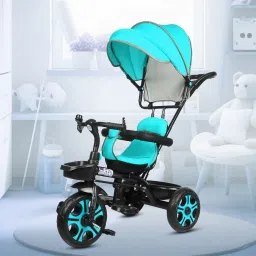 Small kids Tricycles |Cycles for Kids | Cycle for Baby with Storage Basket FLA LSN GREEN CANOPY Tricycle-25