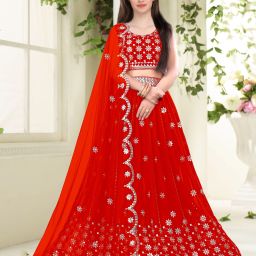 Embroidered Semi Stitched Lehenga Choli-image-102