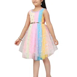 BAESD Print Net Fit & Flare Dress image 4