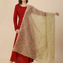 Dupatta Bazaar Embroidered Dupatta with Sequinned image 1