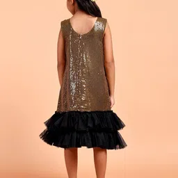 TILISM Net Drop-Waist Dress image 4