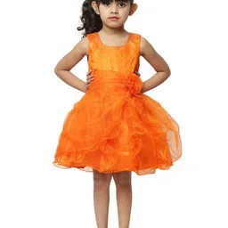 Wish little Girl Self Design Net A-Line Dress-19
