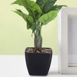 Ekhasa Green 1 Pieces Artificial Flower With Pot-3