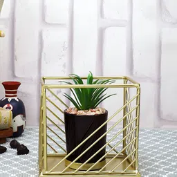 Myntra Elegant Homes Black 1 Pieces Artificial Plant With Pot-picture-40