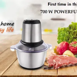 dumpling filling grinder Electric Vegetable & Fruit Chopper-image-55