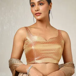 Soch Woven-Designed Tussar Zari Sleeveless Saree Blouse-picture-17