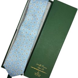 The Tie Hub Paisley Printed Skinny Ties-image-38