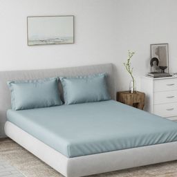 DDecor Blue 180 TC Bedsheet with 2 Pillow Covers-picture-47