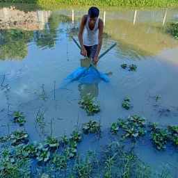 Hand Pulling Triangular Shape Pond, Lake, Paddy Field, River Stream Edge Fishing Net-picture-2