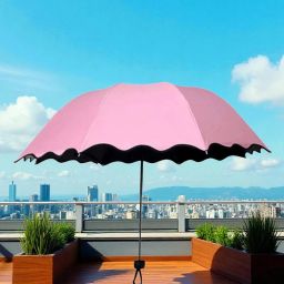 Travel Compact Magic Umbrella 3 Fold Umbrella for Girls, Women_099328 Umbrella-image-62