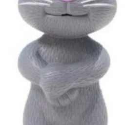Tom Cat Talking with Wonderful Voice Recording, Musical Toys_39-image-1