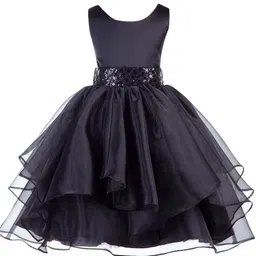 Wish little Net A-Line Maxi Dress image 1