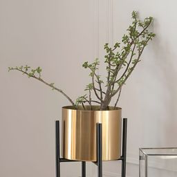 VoiDrop Yellow & Black Planters WithStand-54