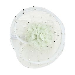 Aye Candy Girls Alligator Hair Clip-image-85